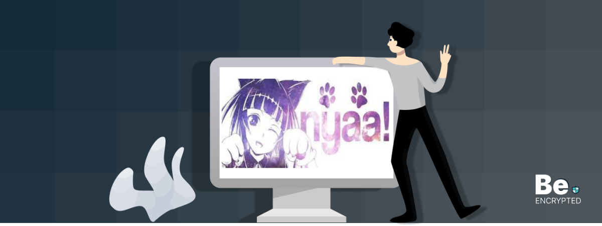 Nyaa Anime Alternatives