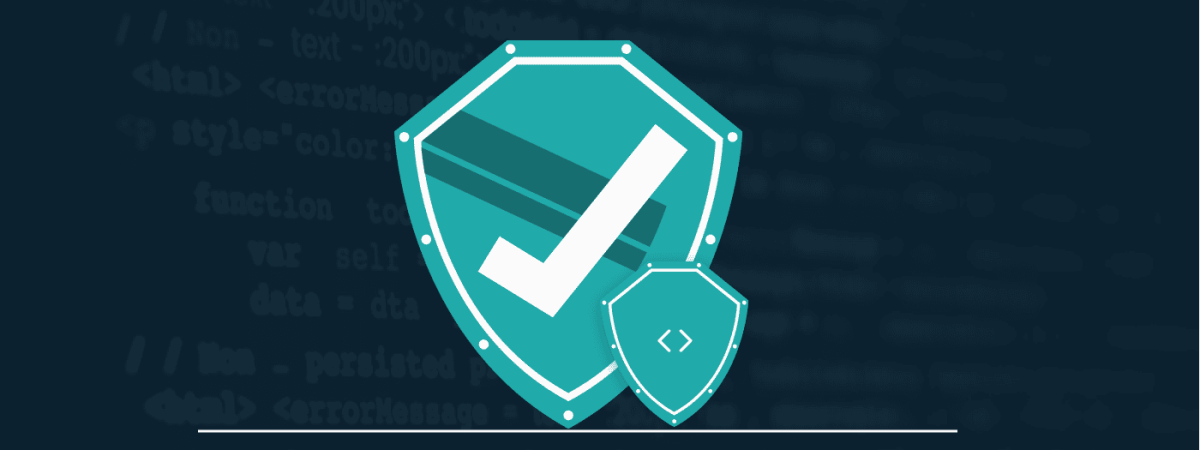 The Role of Developer Security as a Standard in the Software Development Process